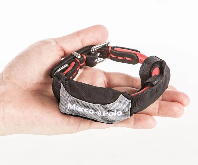 Marco Polo Dog Tracking & Monitoring - New Advanced System