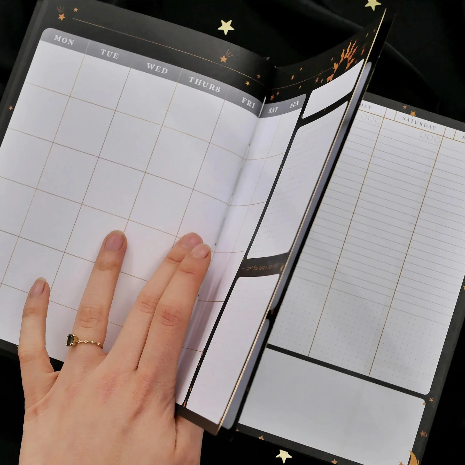 The Quirky Cup Collective - Dateless Planner Various